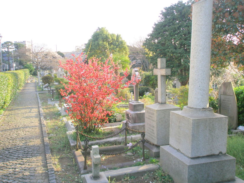 横浜外国人墓地写真