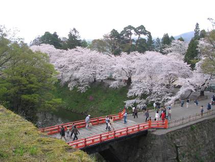 鶴ヶ城廊下橋と桜写真