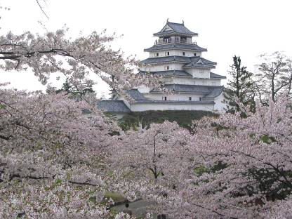 桜の咲く頃の鶴ヶ城写真