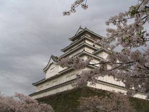 会津若松城そびえる天守閣と桜写真