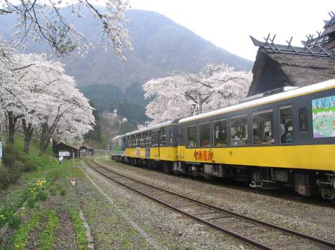湯野上温泉駅・会津鉄道の列車と満開の桜写真