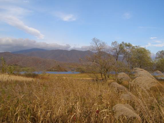 裏磐梯の湖沼と茶色の枯野写真