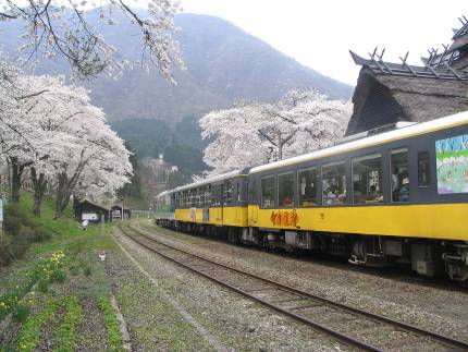 わらぶき屋根の会津鉄道・湯野上温泉駅とサクラ写真