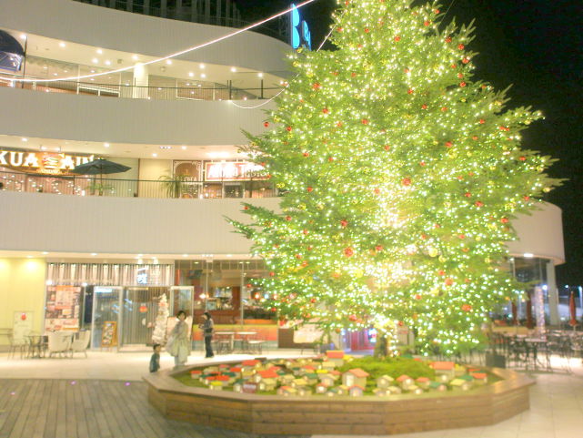 横浜ベイクォータークリスマスツリー画像