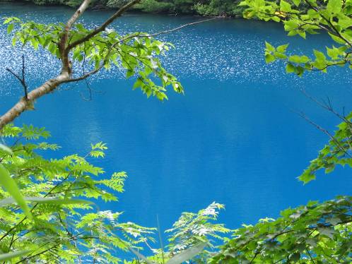 志賀高原大沼池の青い水写真
