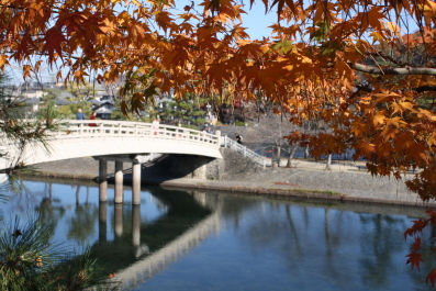 宇治川と紅葉写真