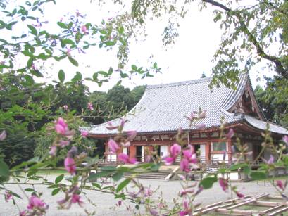 ハギの花と醍醐寺金堂写真
