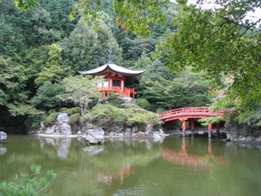 醍醐寺林泉の周り青カエデ写真