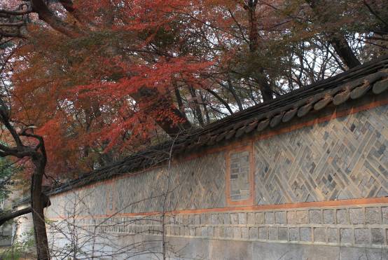 昌徳宮美しい花塀とカエデの紅葉写真