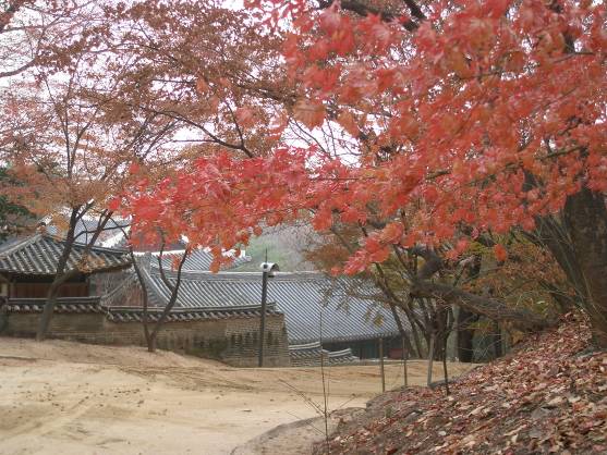 紅葉が美しい後苑写真