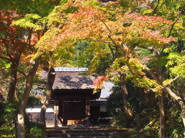 円覚寺居士林画像