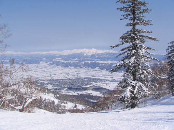雪の富良野盆地画像