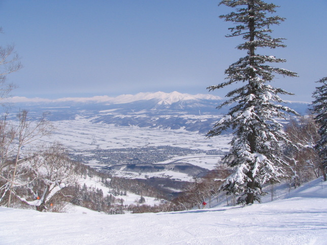 富良野スキー場雪景色