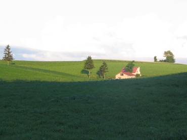 美瑛牧草地と赤い屋根写真