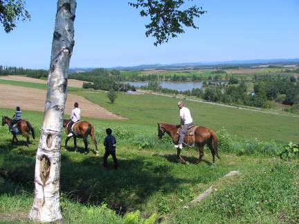 美瑛水沢湖を見ながらの乗馬写真