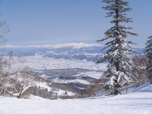 冬の富良野盆地と十勝岳写真