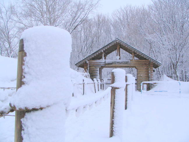 富良野雪景色画像