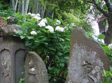 鎌倉御霊神社・鎌倉権五郎神社の石仏と竹林写真