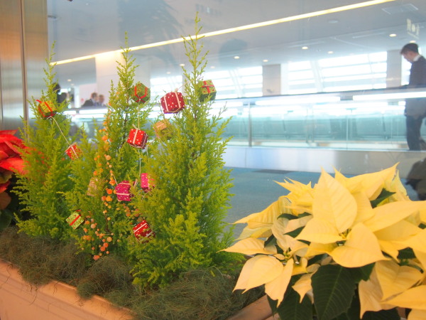 羽田空港クリスマスツリー写真