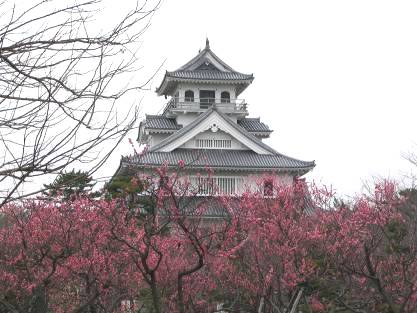 長浜城と見事な紅梅写真