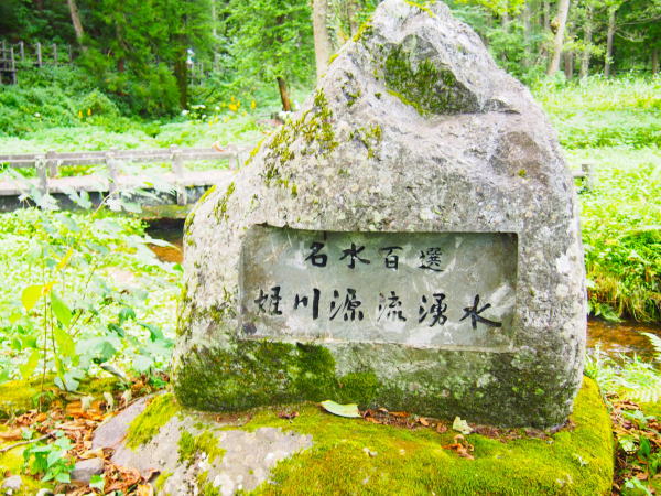 �P�쌹���ʐ^