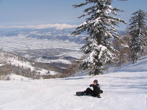 冬の富良野スキー場写真