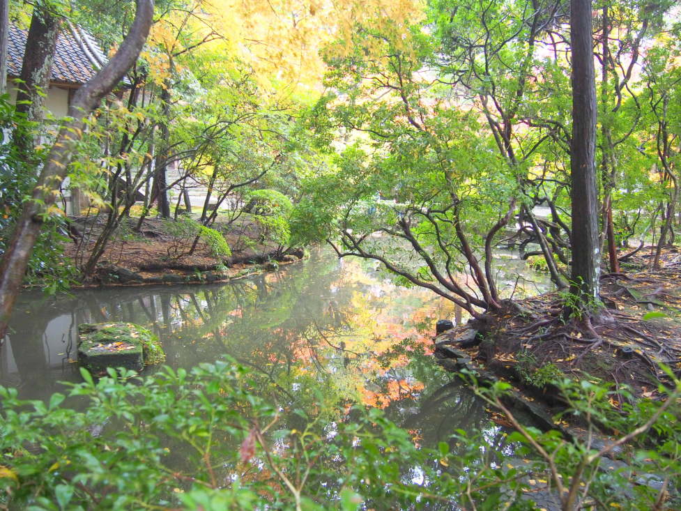 法然院境内池写真