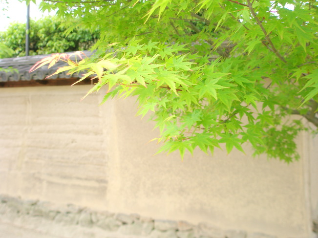 法隆寺土塀画像
