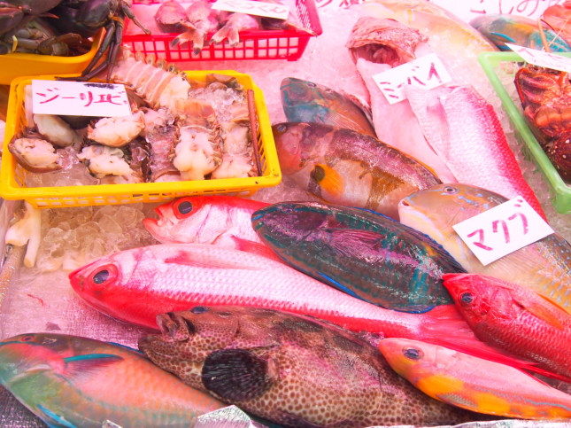 沖縄魚画像