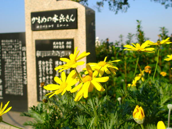 �����I�v�X�f�[�W�[�ԎR������