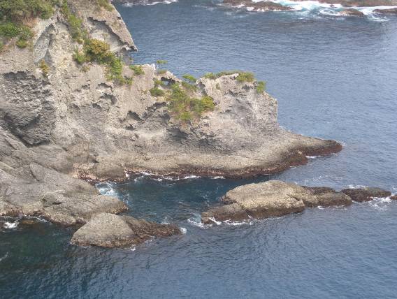 隆起地形である波食棚や崖の中腹に海食洞窟の痕跡が見えます