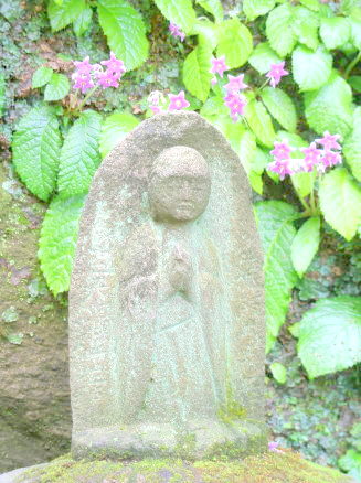北鎌倉東慶寺地蔵菩薩とイワタバコの花写真