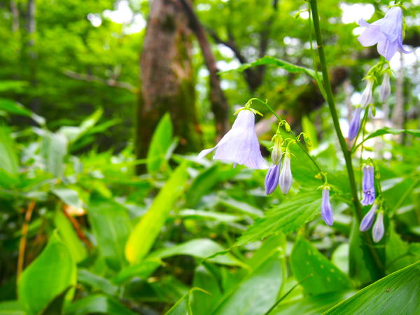 �㍂�n�\�o�i��