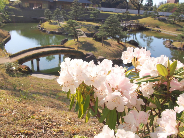 金沢城玉泉院庭園画像