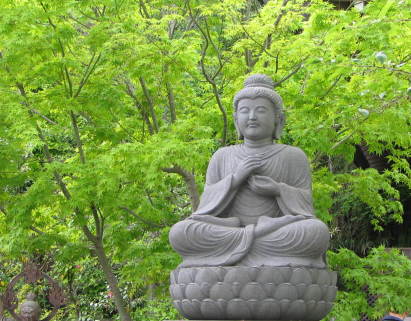 鎌倉長谷寺　青カエデ　仏像　写真