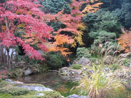 京都東山南禅院の庭園と紅葉写真