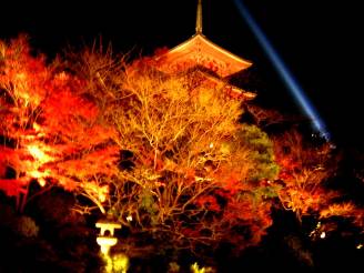 清水寺の紅葉夜間ライトアップ写真
