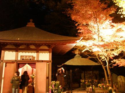 長谷寺地蔵堂のライトアップされた紅葉写真