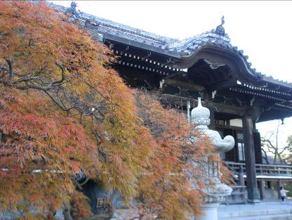 鎌倉本覚寺の紅葉と本堂写真