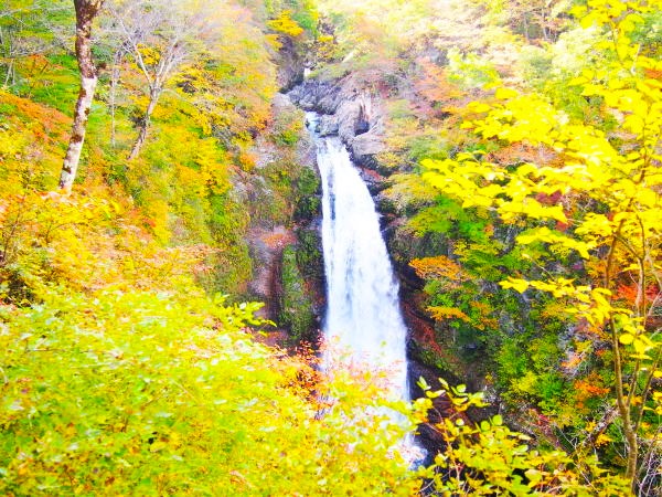 秋保大滝紅葉