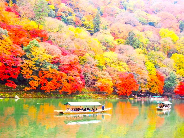 嵯峨の紅葉
