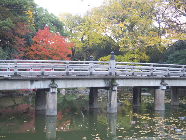 九条池畔の紅葉と高倉橋画像
