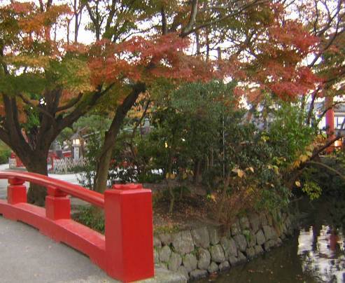 鎌倉鶴岡八幡宮の紅葉写真・１２月