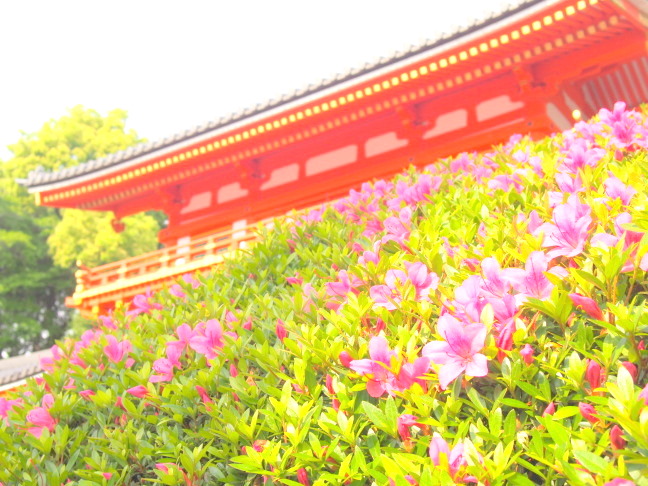 京都色画像