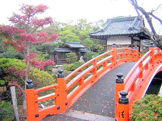 神泉苑の赤い橋と紅葉写真