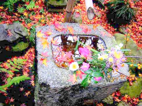 秋の大徳寺興臨院の手水写真
