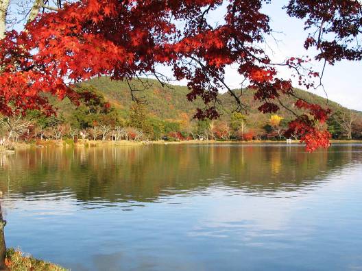 大覚寺から見た紅葉の大沢の池写真