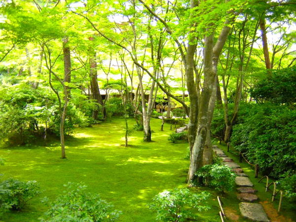 京都大河内山荘画像