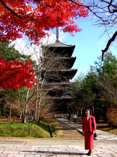 仁和寺の五重塔と紅葉写真
