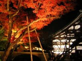 高台寺の紅葉ライトアップ写真